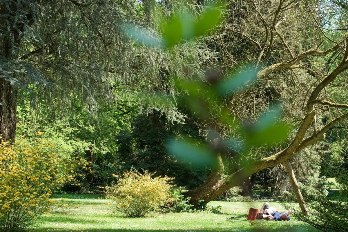 Parkanlage Villa Boveri