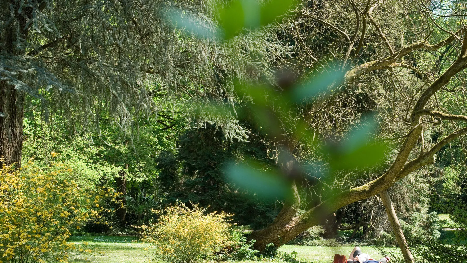 Parkanlage Villa Boveri