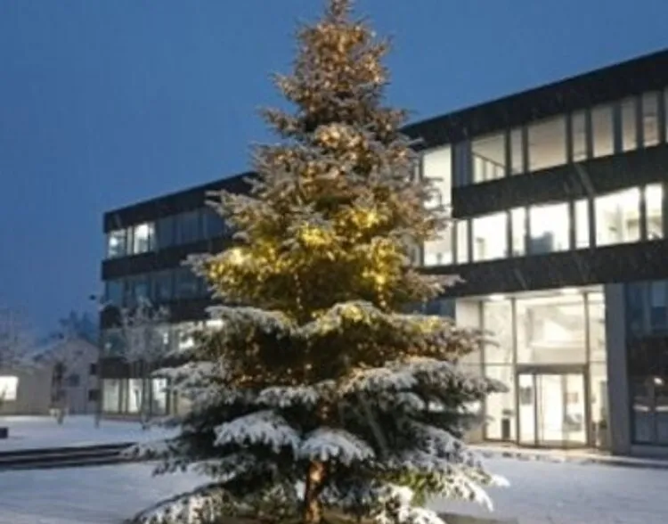 Baumschmücken auf dem Gemeindehausplatz