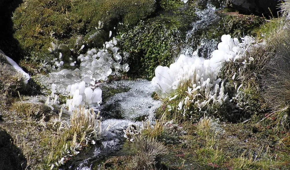 Authentische Beziehungen leben