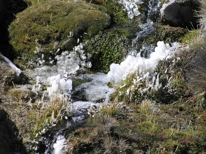 Authentische Beziehungen leben