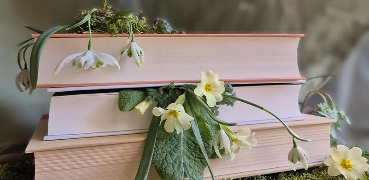 Bücherfrühling