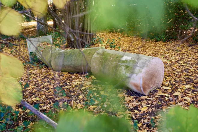 09.05.2026 - 13.09.2026