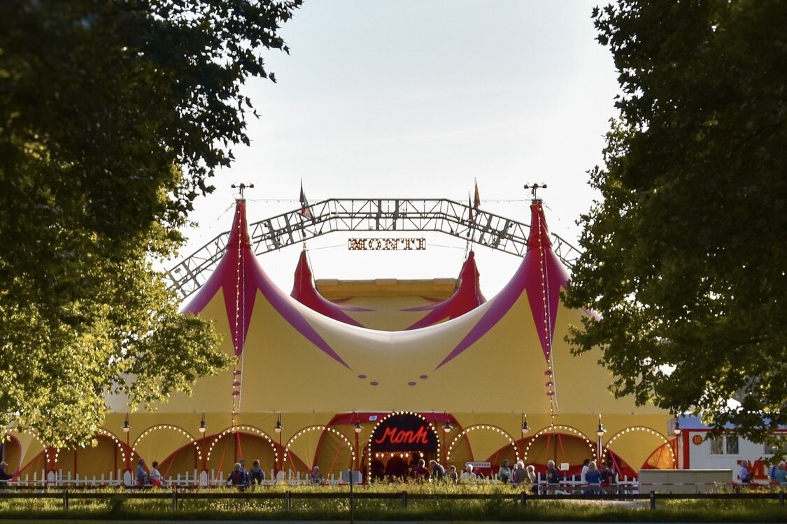 Circus Monti - Poussière d'étoiles