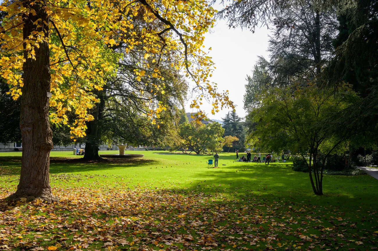 Herbst im Kurpark
