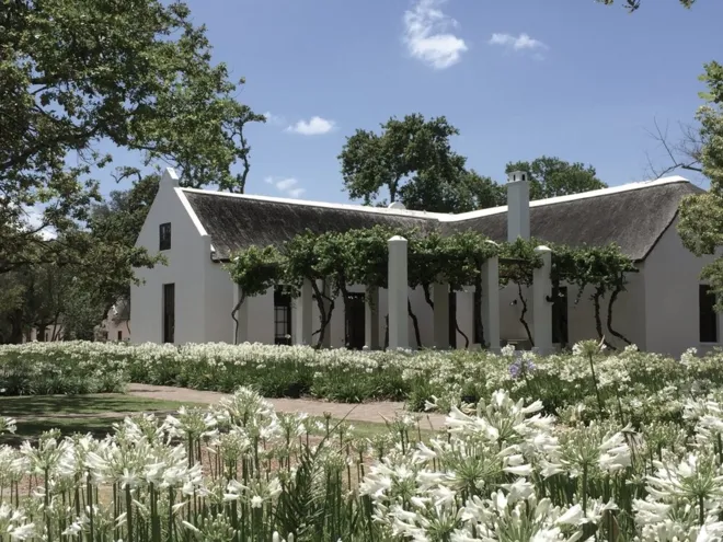 Tasting: South Africa, land of wine