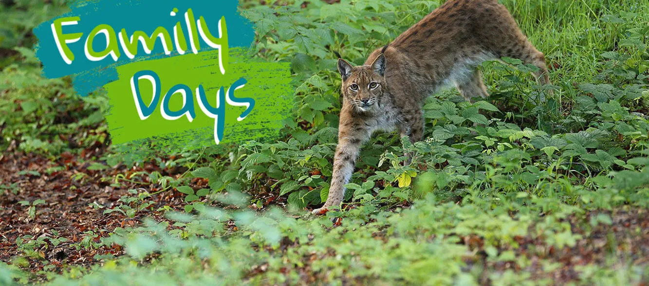 Family Days