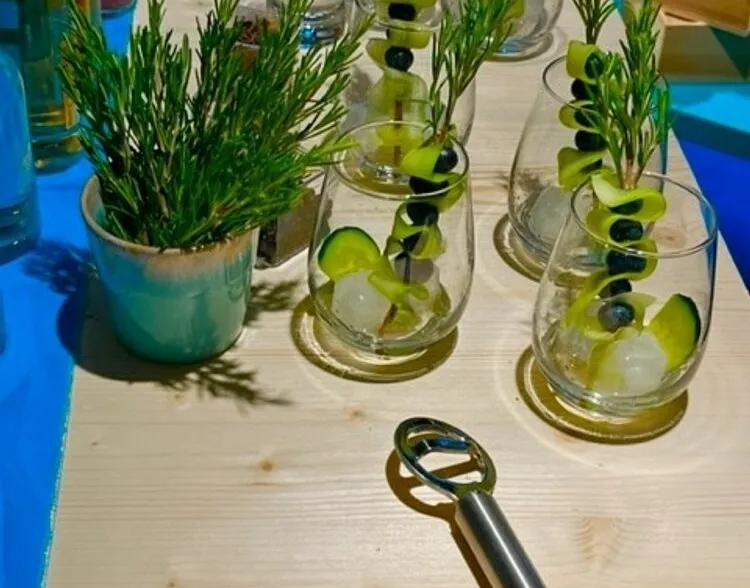 Gin & Tonic Tasting