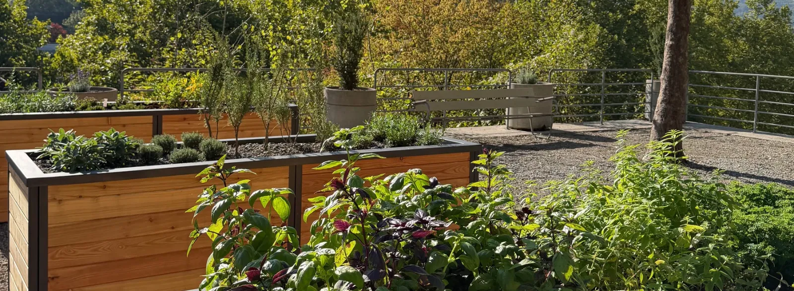 Kräutergarten Freihof