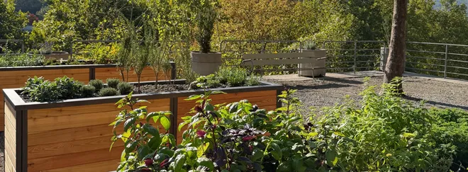 Kräutergarten Freihof