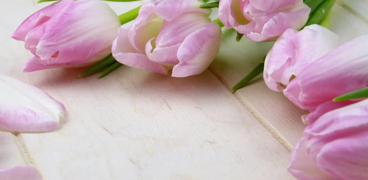 Muttertag-Zmittag auf dem Glück-Hof