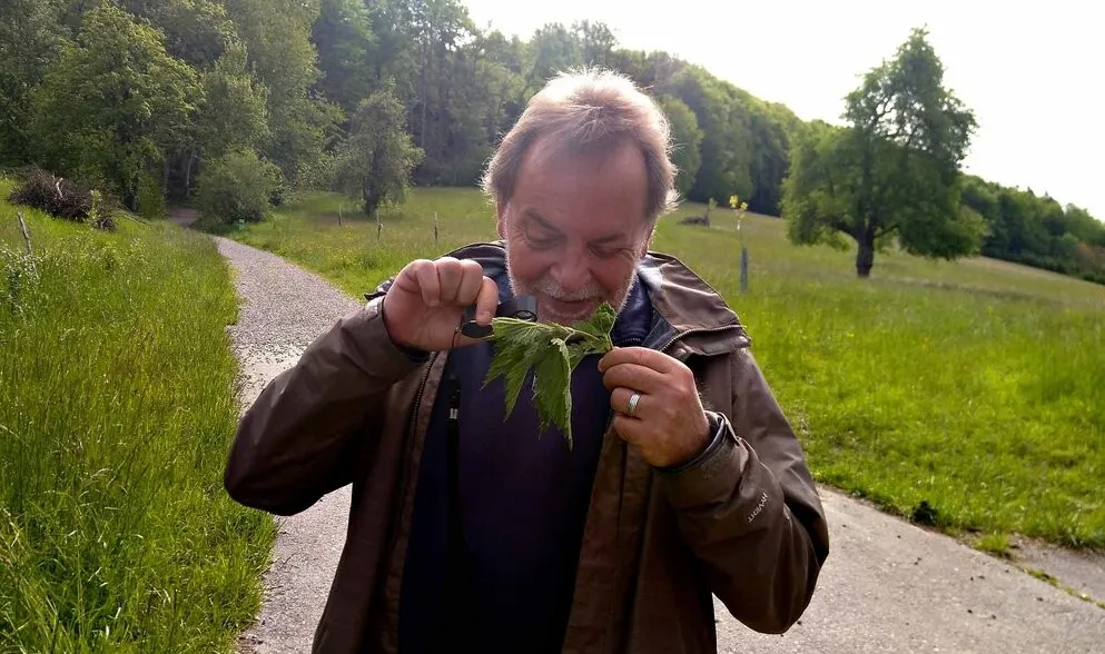 Essbaren Wildpflanzen begegnen Pflanzen Workshop