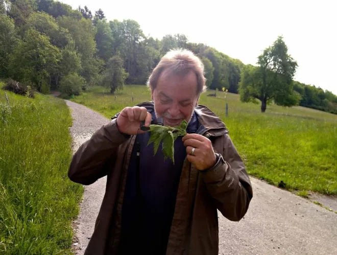 Encountering edible wild plants Plant workshop