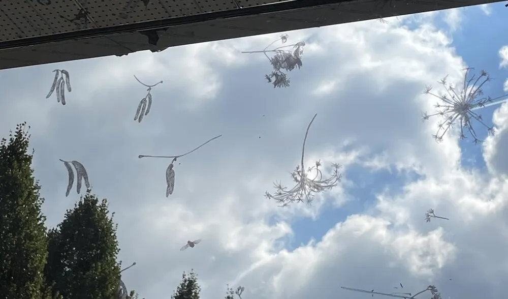 Gespräch mit Julia Steiner