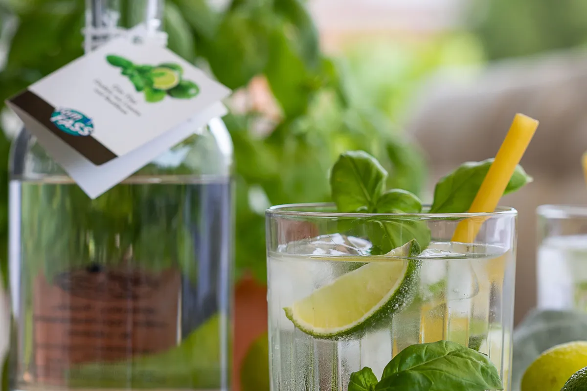 Gin & Tonic Tasting