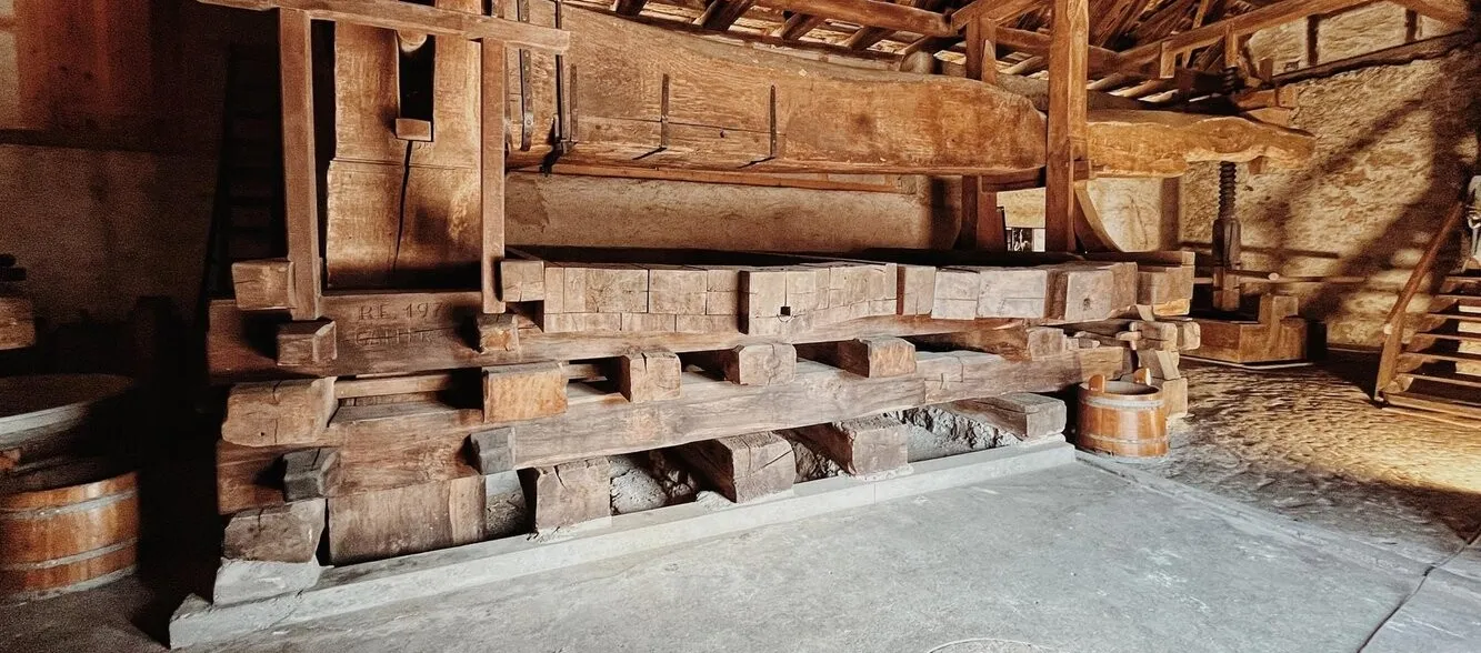 Auftakt Badener Weintage und Führung "Alte Goldwand Trotte"