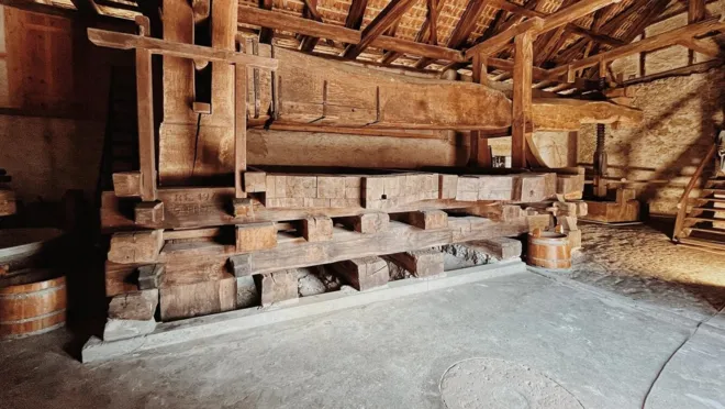 Auftakt Badener Weintage und Führung "Alte Goldwand Trotte"