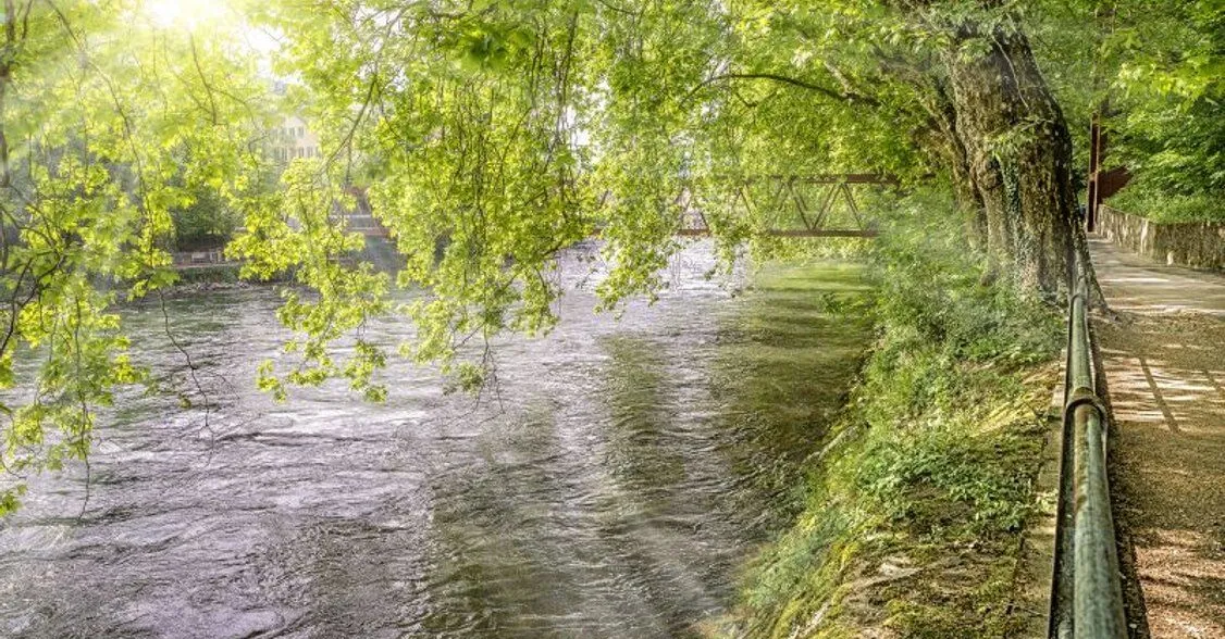 Bathing with all your senses