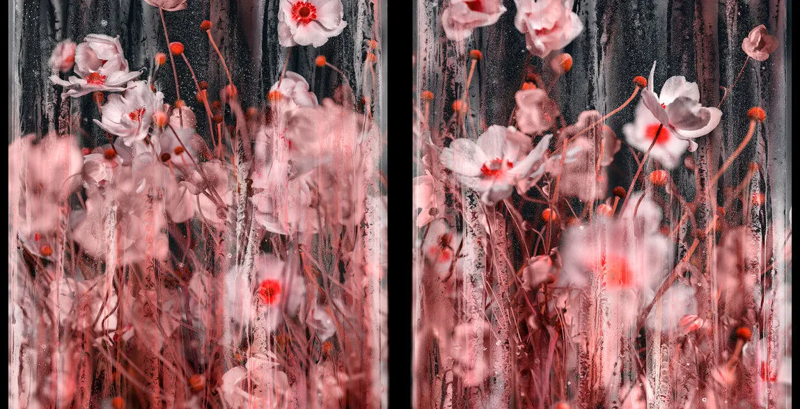 Arpad Polgar & Kim Schwanhaeusser - Sehnsucht - Nostalgia