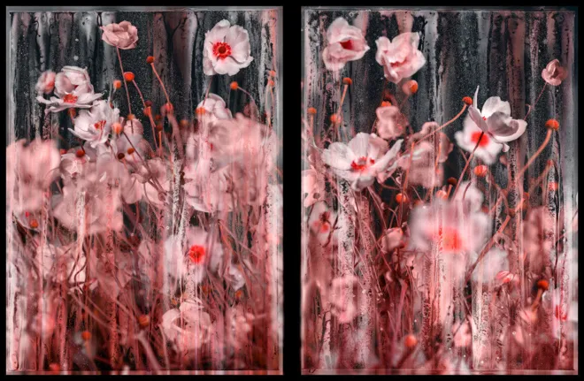 12.03.2026 -25.04.2026