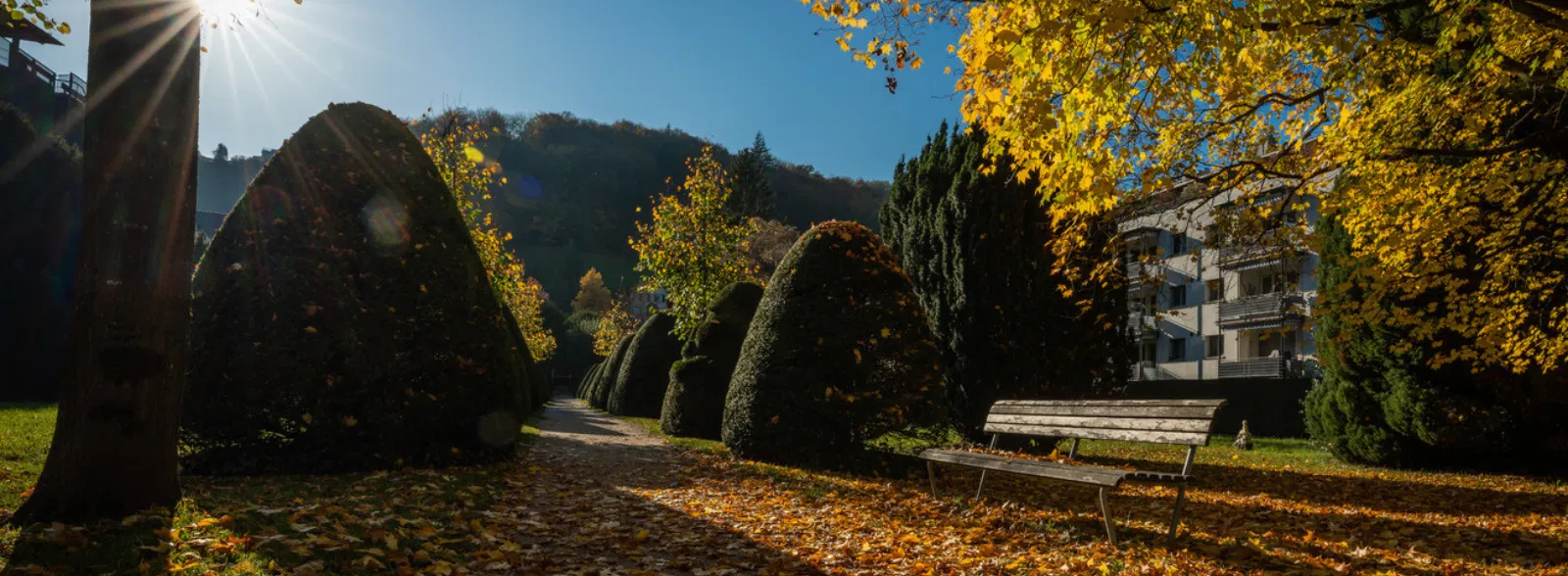 Herbst in Baden