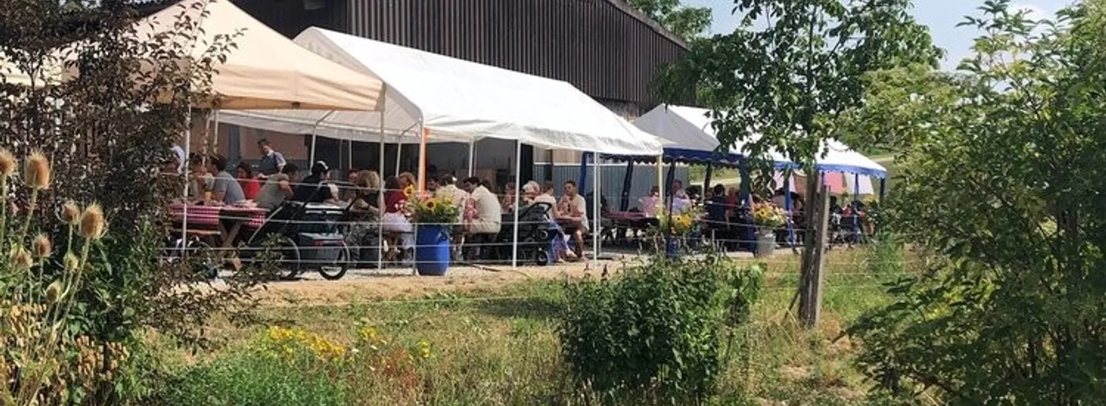Dankesfest zum Saisonabschluss auf dem Glück-Hof