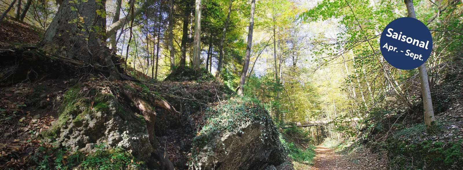 WaldBaden