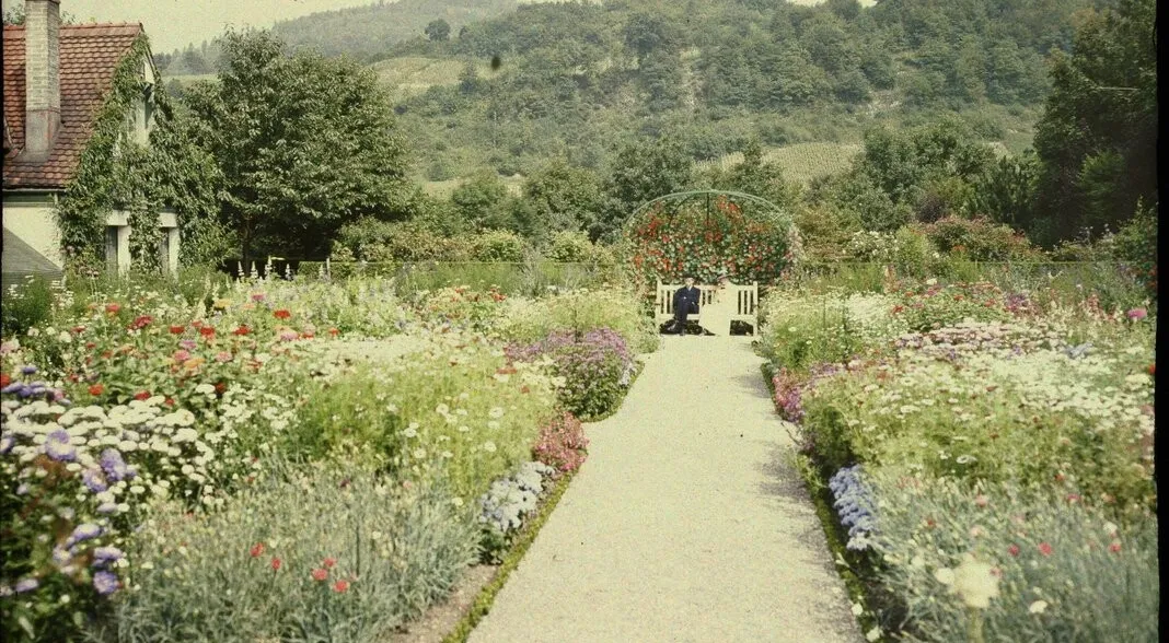 Thematische Führung durch den Park