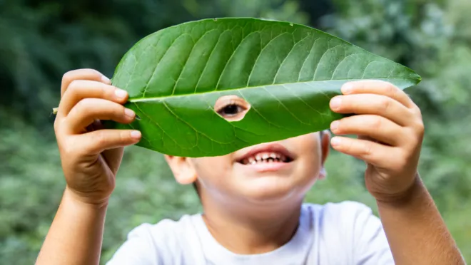 Kinder Waldwoche Sommerferien