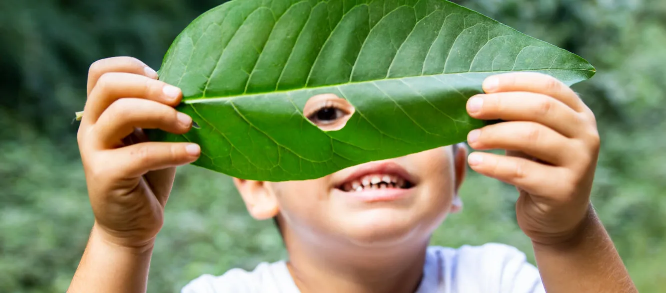 Kinder Waldwoche Sommerferien