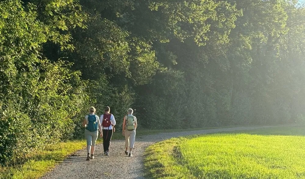 Naturfreunde Baden: Feierabendwanderungen