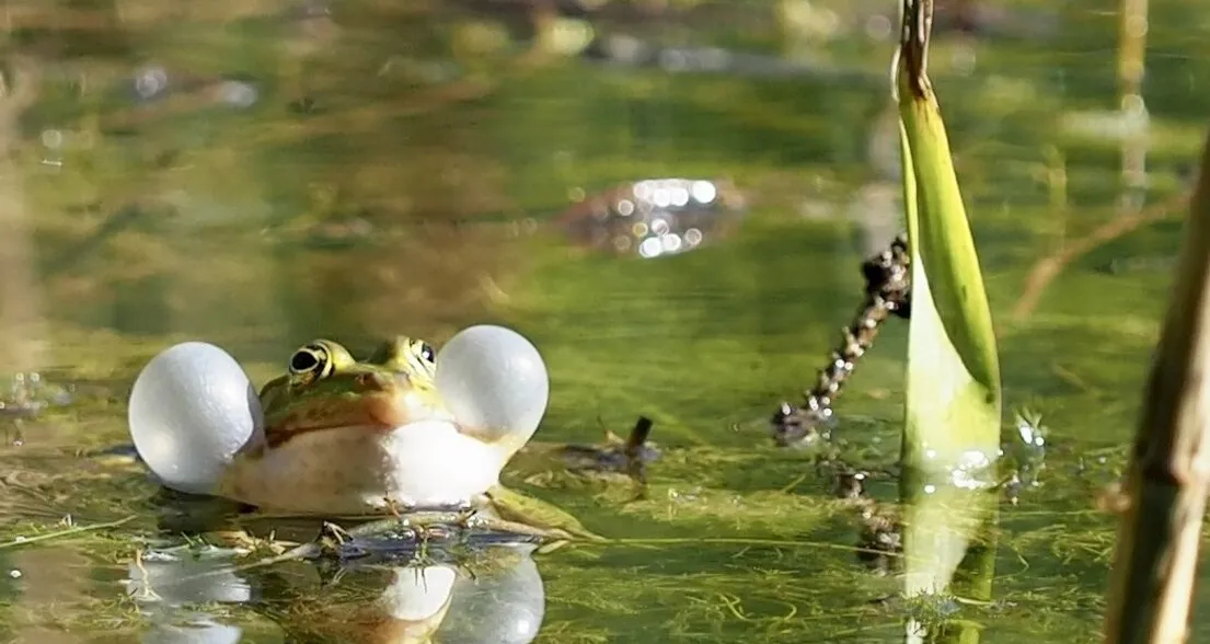 Exkursion zum Thema Wasser