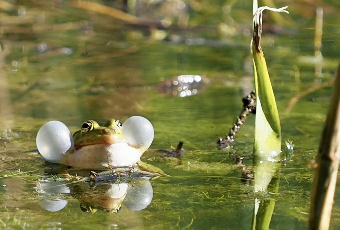 Exkursion zum Thema Wasser