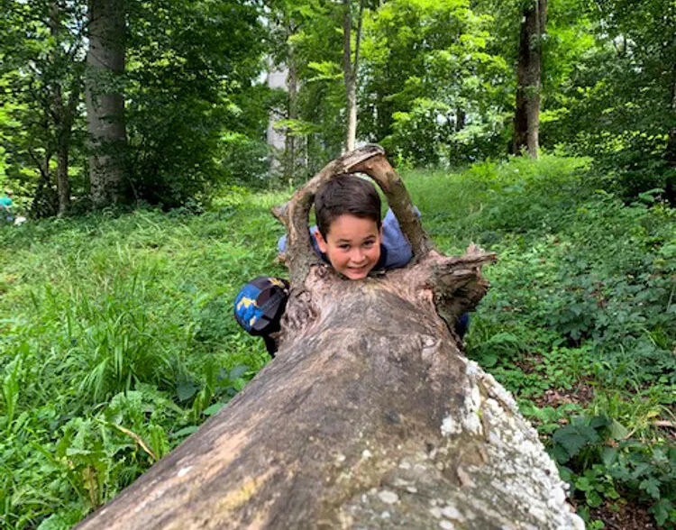 Kinder Waldspielgruppe