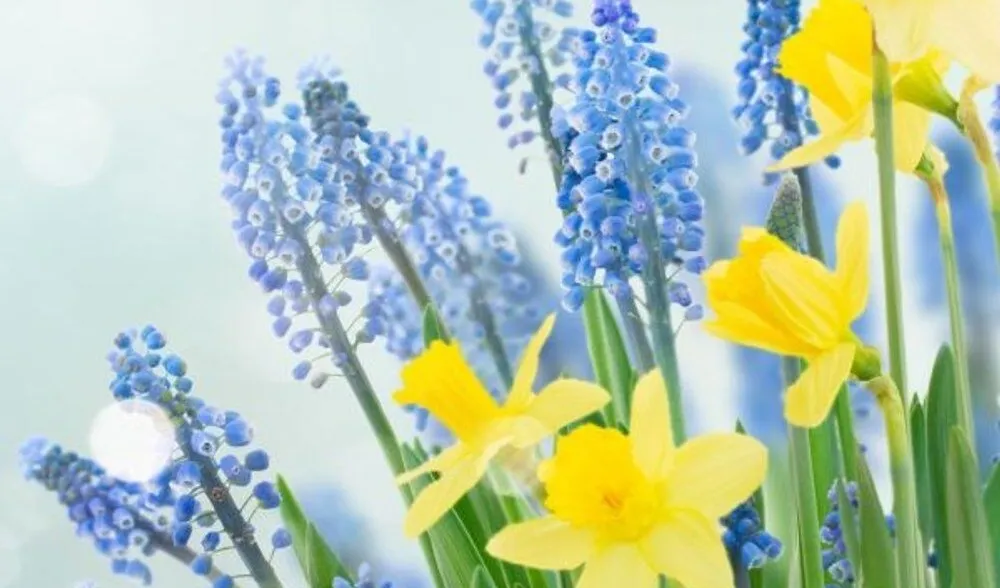 De Früehlig isch da!