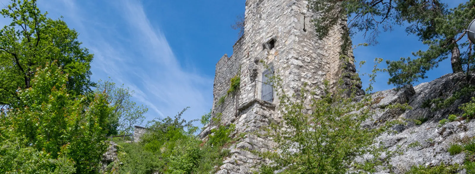 Ruine Stein