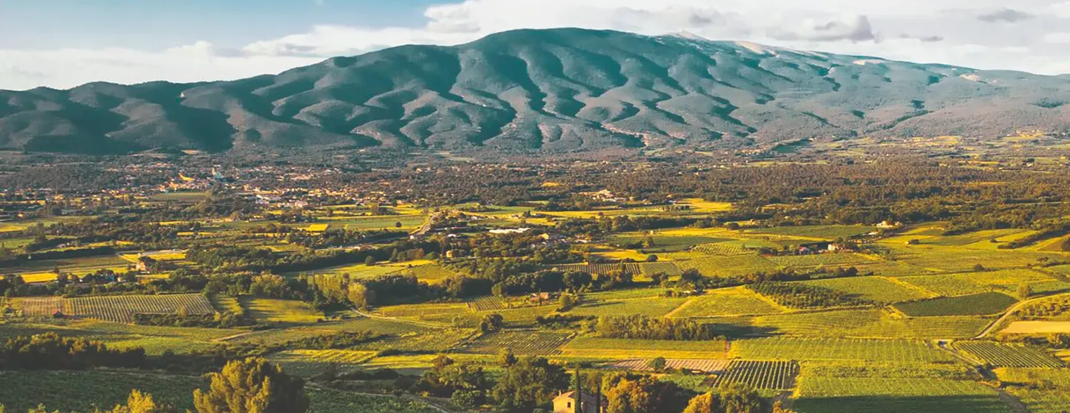 Schatzkammer-Degustation «Gereifte Rhône-Legenden»
