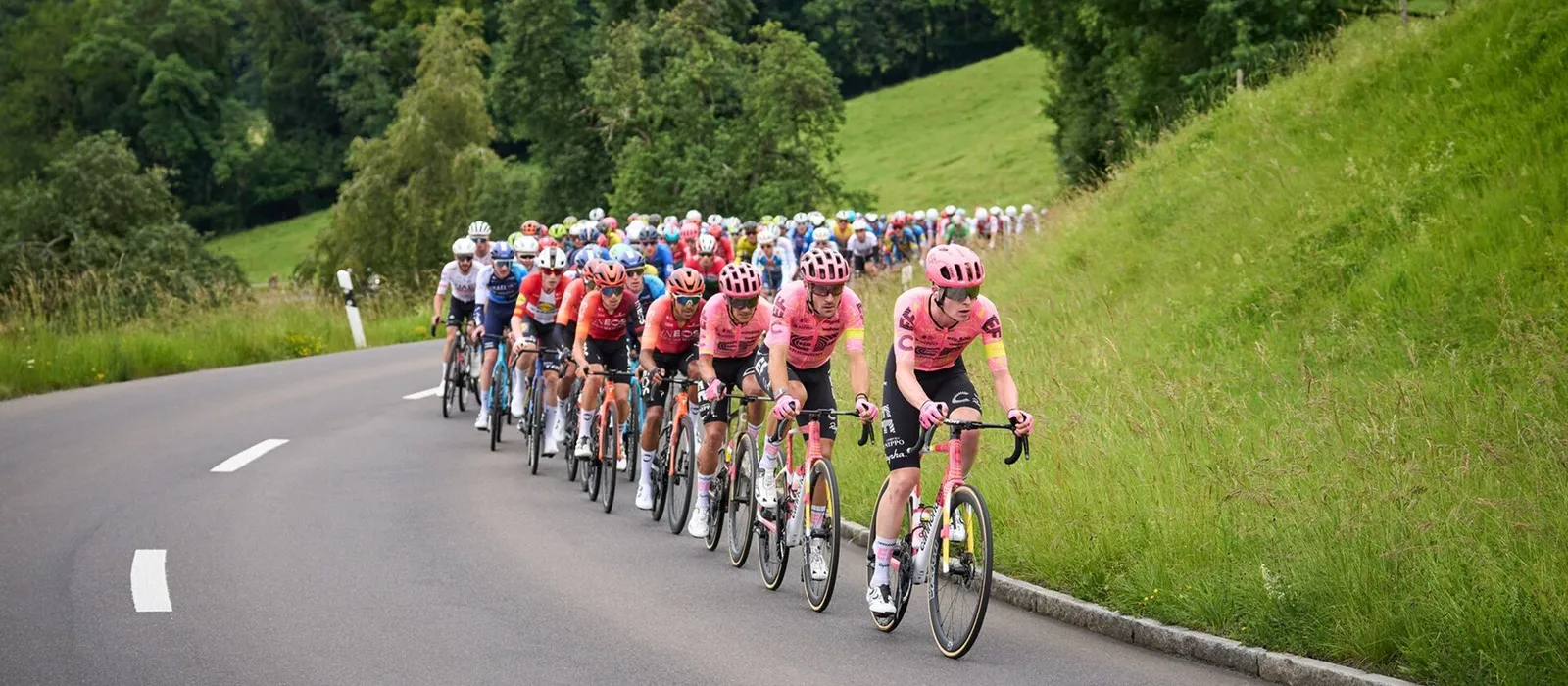 Tour de Suisse