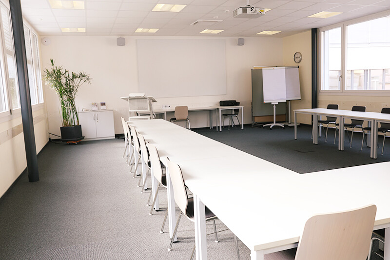 Slowfox bei SeminarInsel Olten - Coachingzentrum Olten in Olten