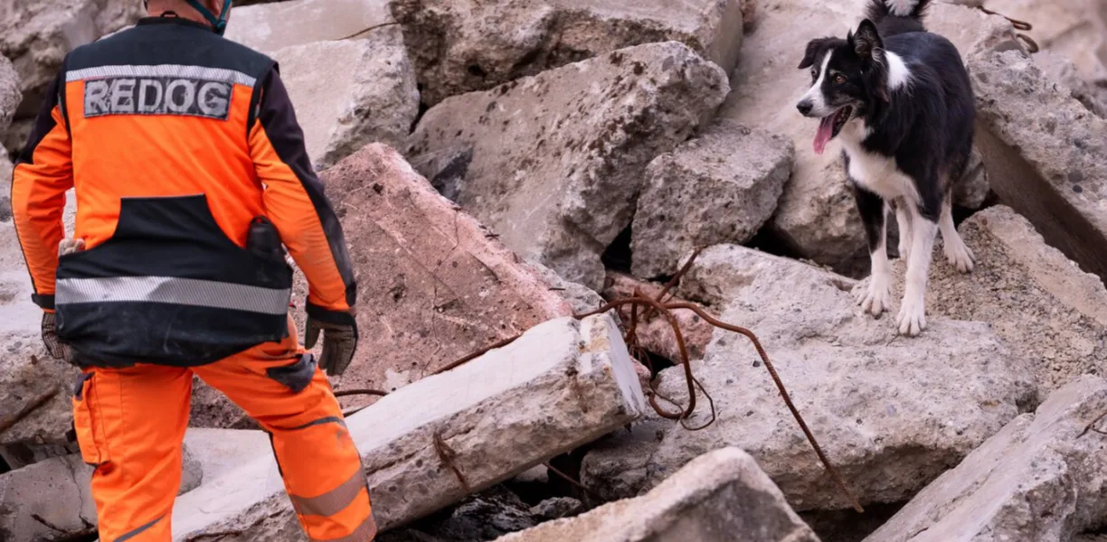 Unser Büro- und Familienhund Pepper ist auch ein Rettungshund