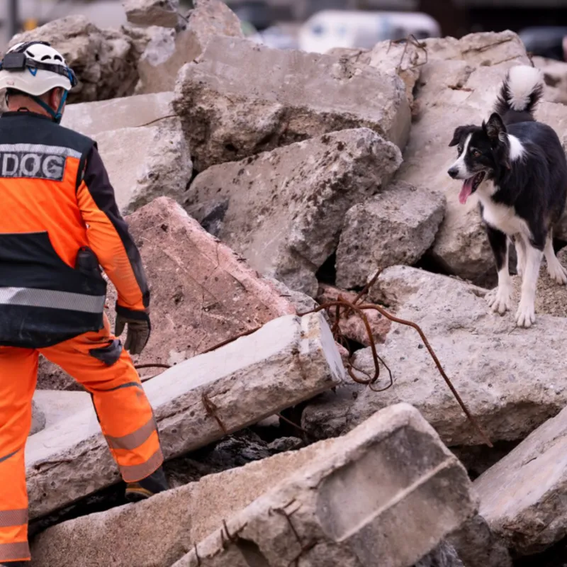 Unser Büro- und Familienhund Pepper ist auch ein Rettungshund