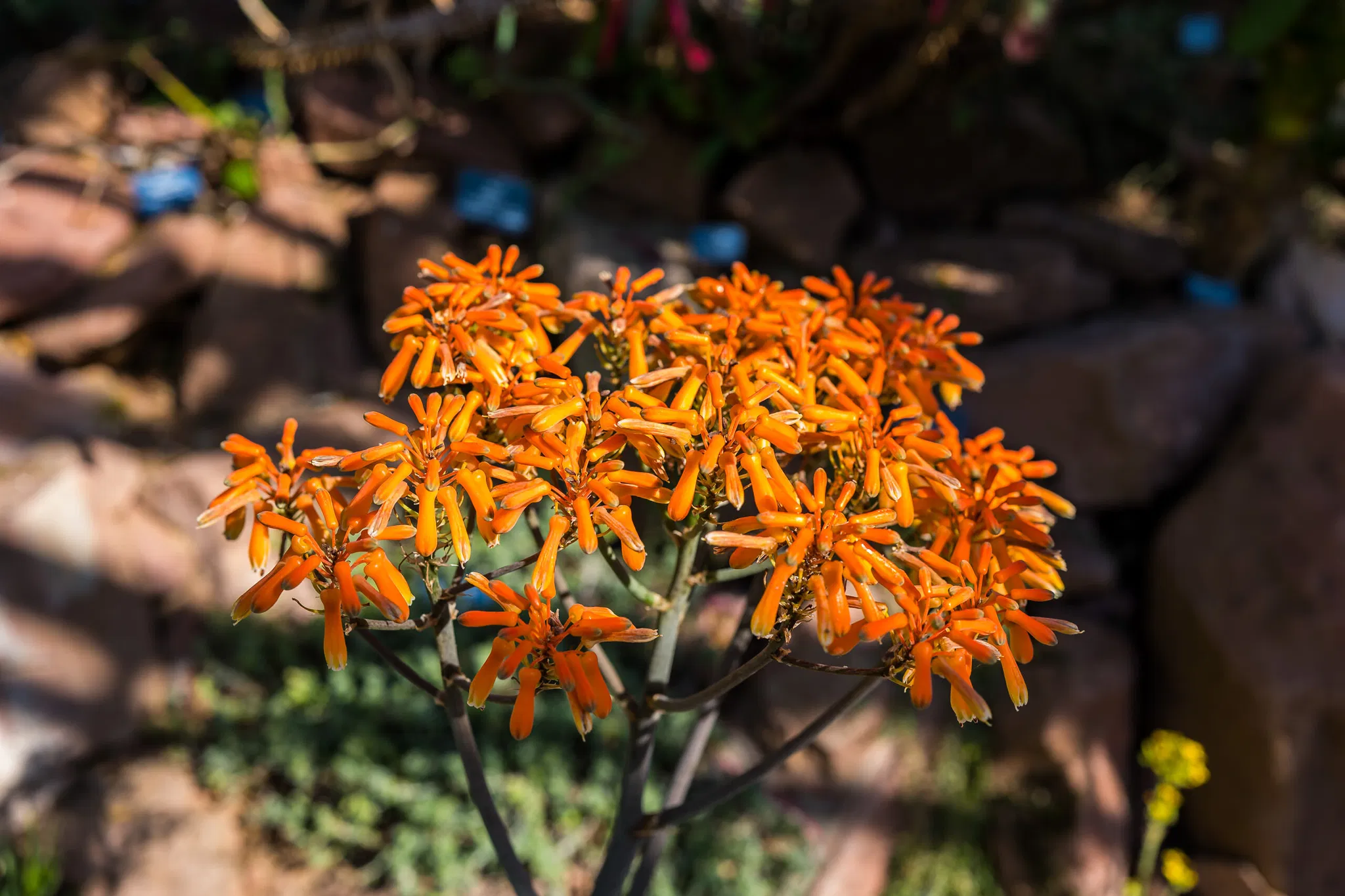 SKB_2026_BE-BotanischerGarten_1020258_Web_(c)StadtKonzeptBasel.jpg