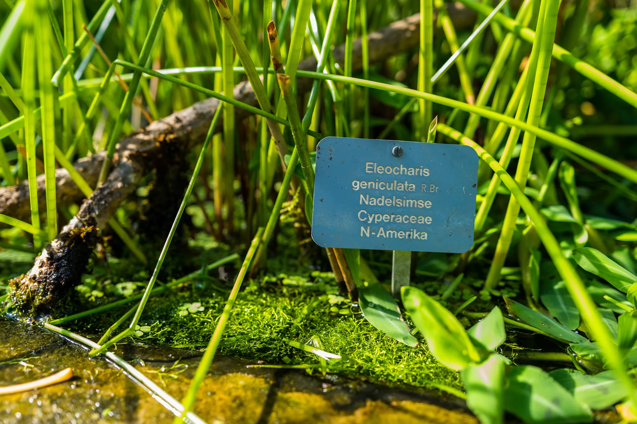 SKB_2026_BE-BotanischerGarten_1020284_Web_(c)StadtKonzeptBasel.jpg
