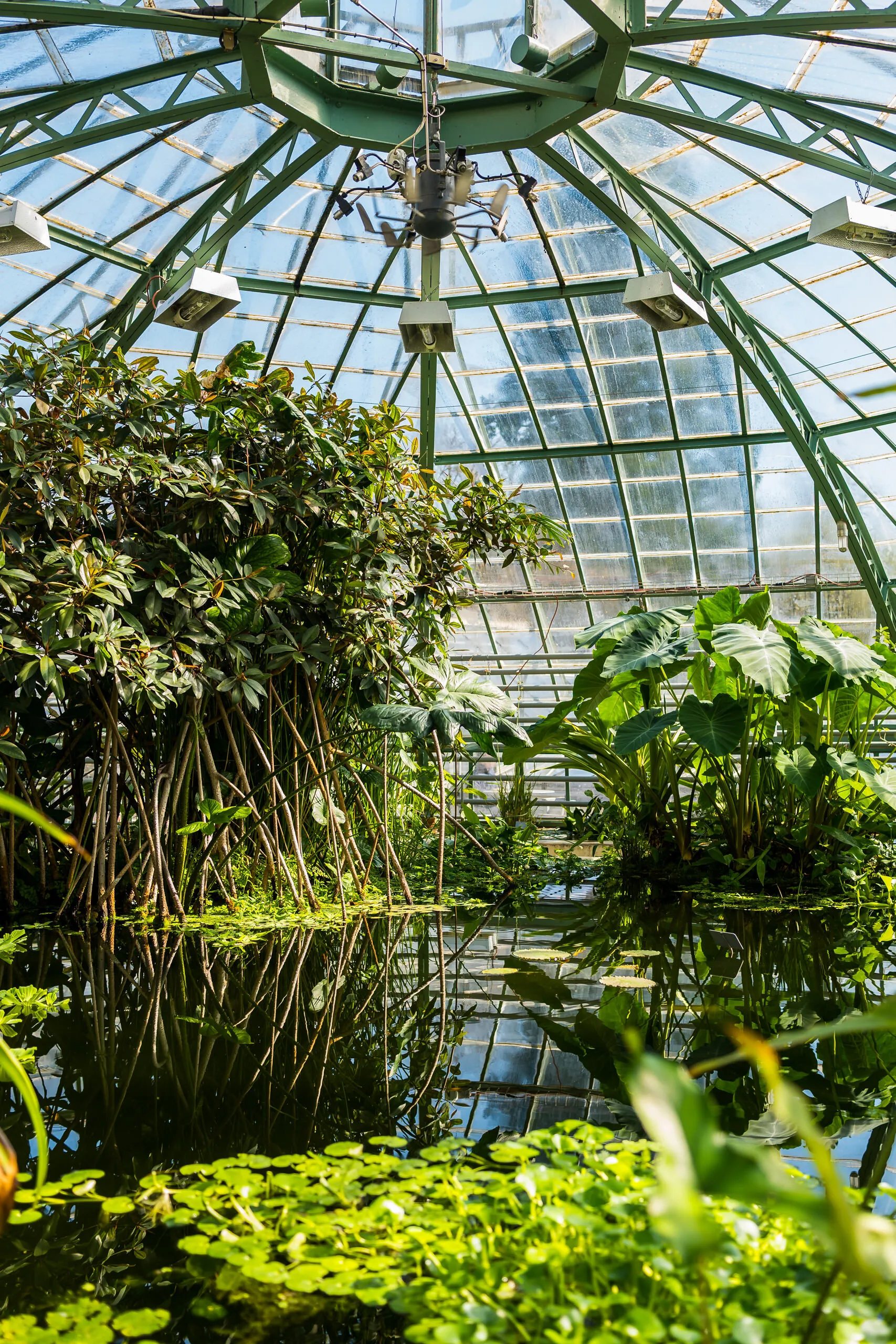 SKB_2026_BE-BotanischerGarten_1020275_Web_(c)StadtKonzeptBasel.jpg