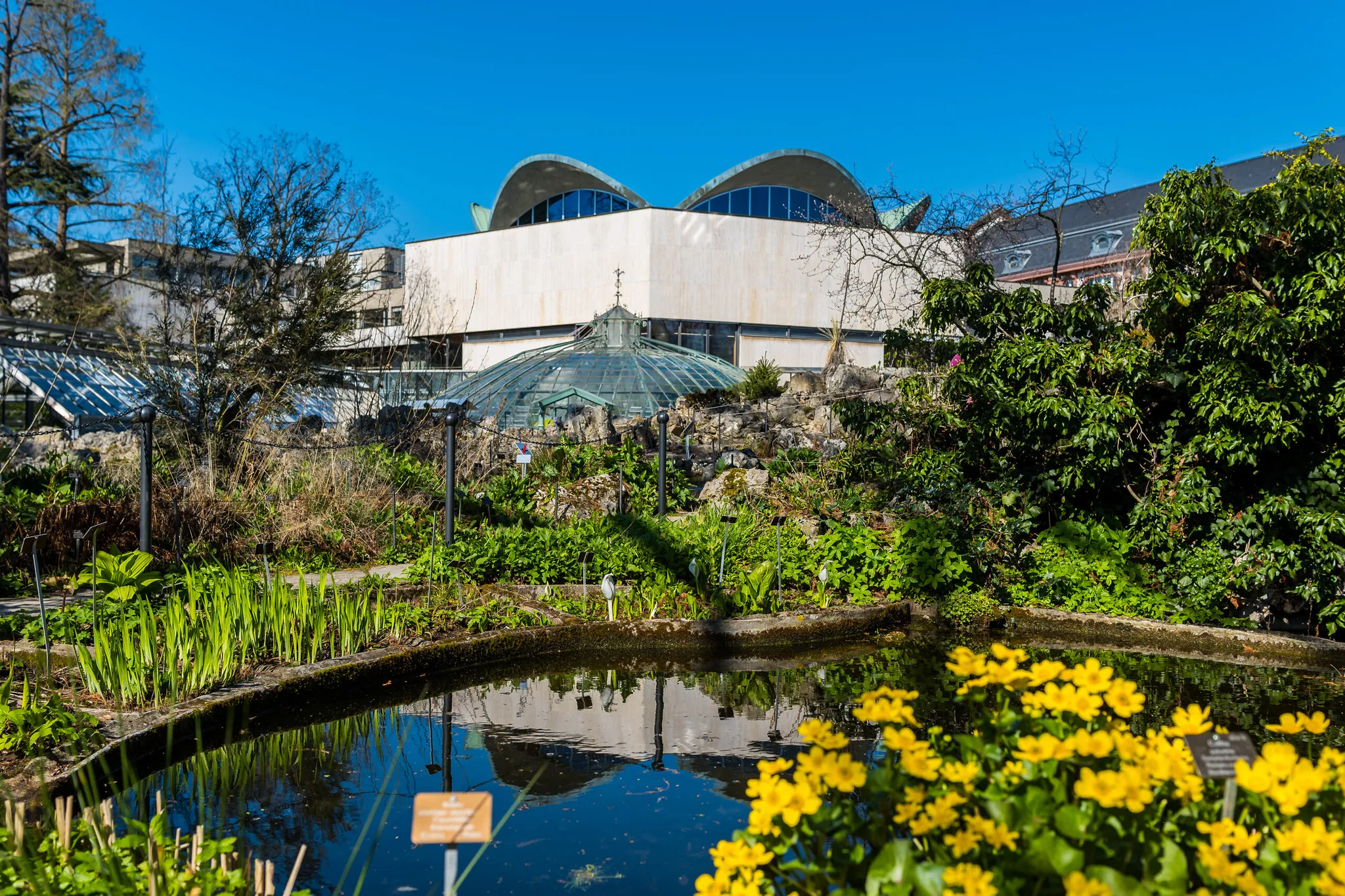 SKB_2026_BE-BotanischerGarten_1020207_Web_(c)StadtKonzeptBasel.jpg