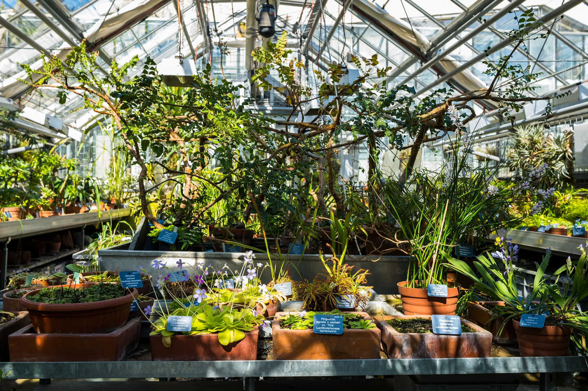 SKB_2026_BE-BotanischerGarten_1020201_Web_(c)StadtKonzeptBasel.jpg