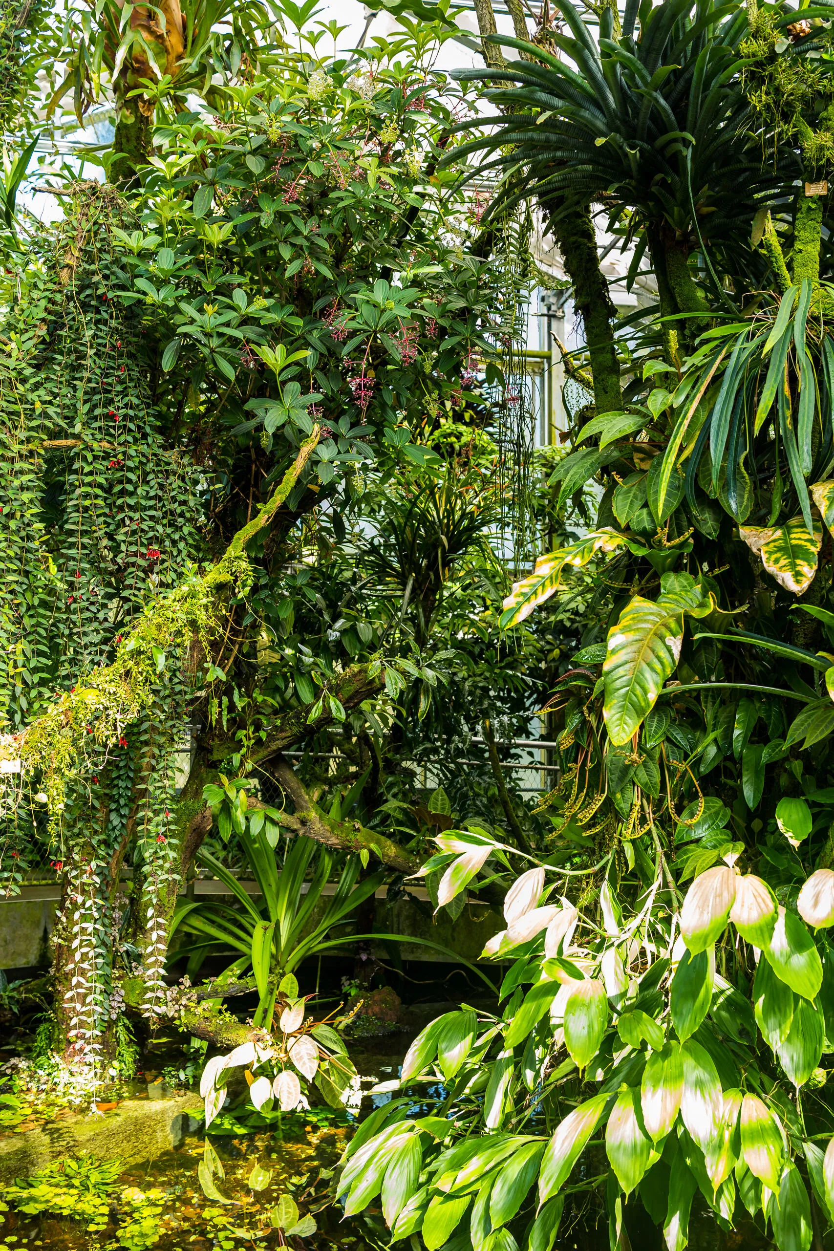 SKB_2026_BE-BotanischerGarten_1020171_Web_(c)StadtKonzeptBasel.jpg