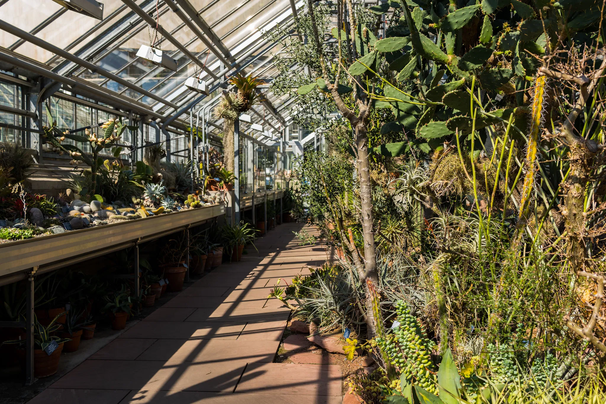SKB_2026_BE-BotanischerGarten_1020260_Web_(c)StadtKonzeptBasel.jpg