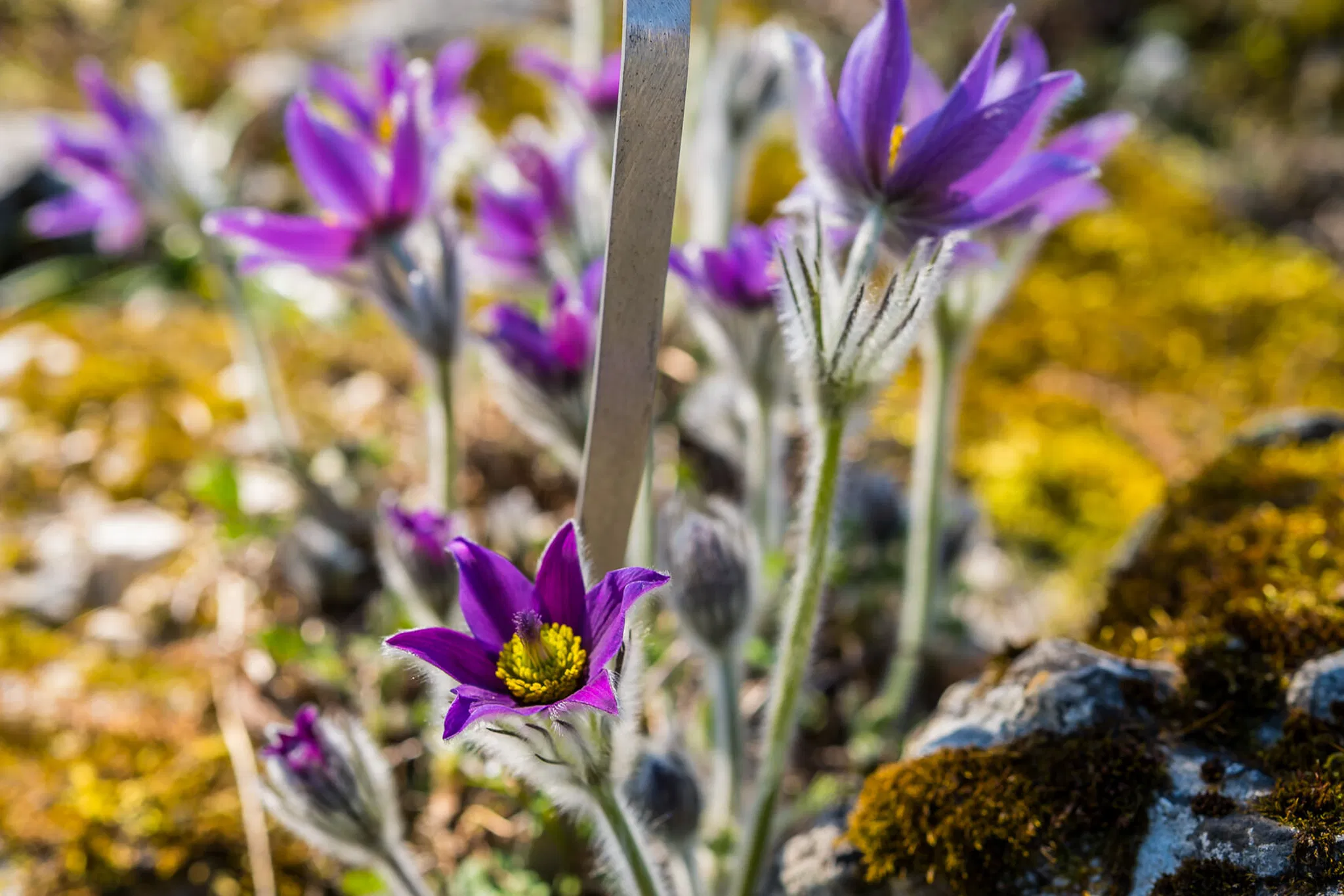SKB_2026_BE-BotanischerGarten_1020242_Web_(c)StadtKonzeptBasel.jpg