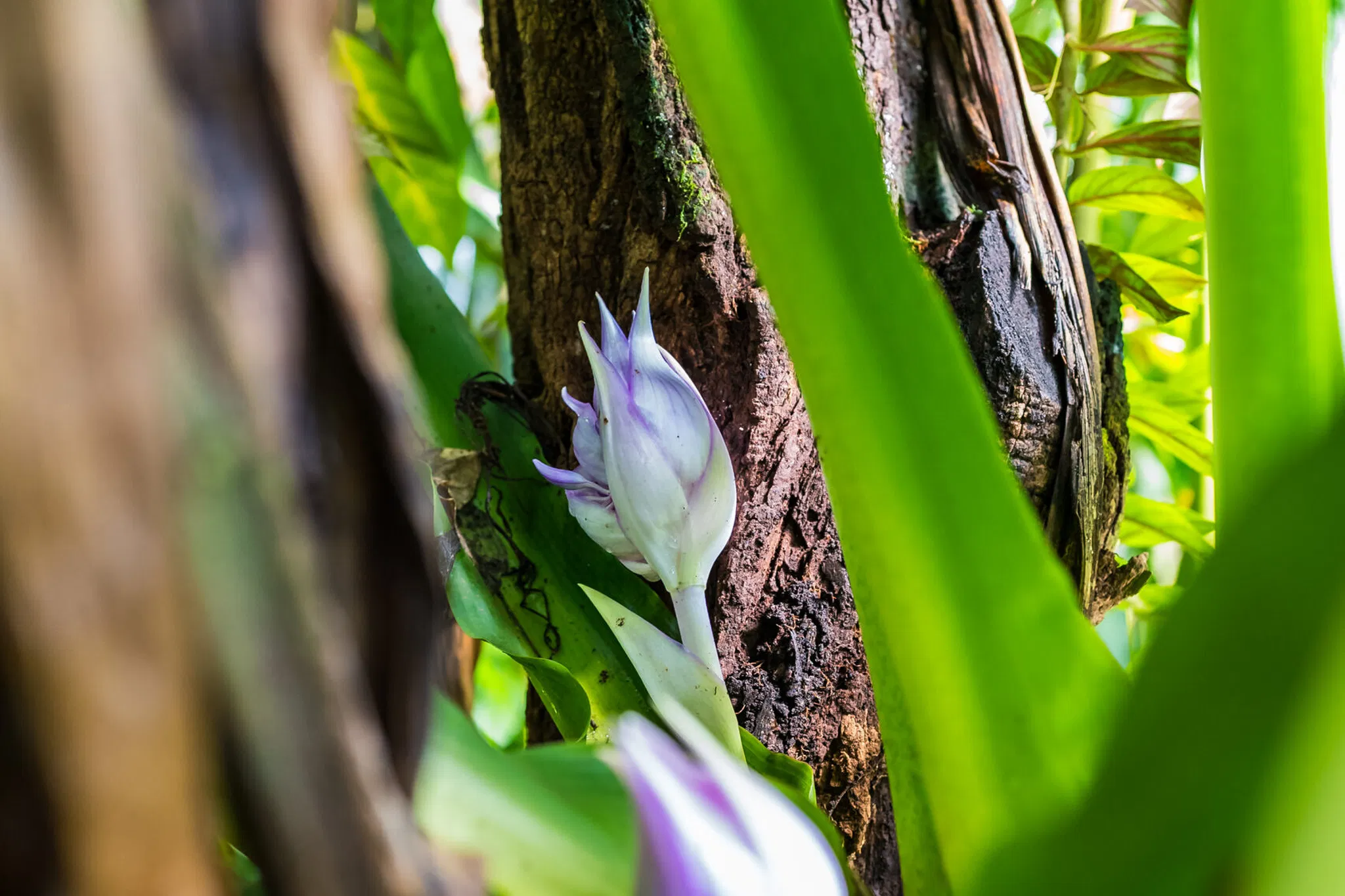 SKB_2026_BE-BotanischerGarten_1020176_Web_(c)StadtKonzeptBasel.jpg
